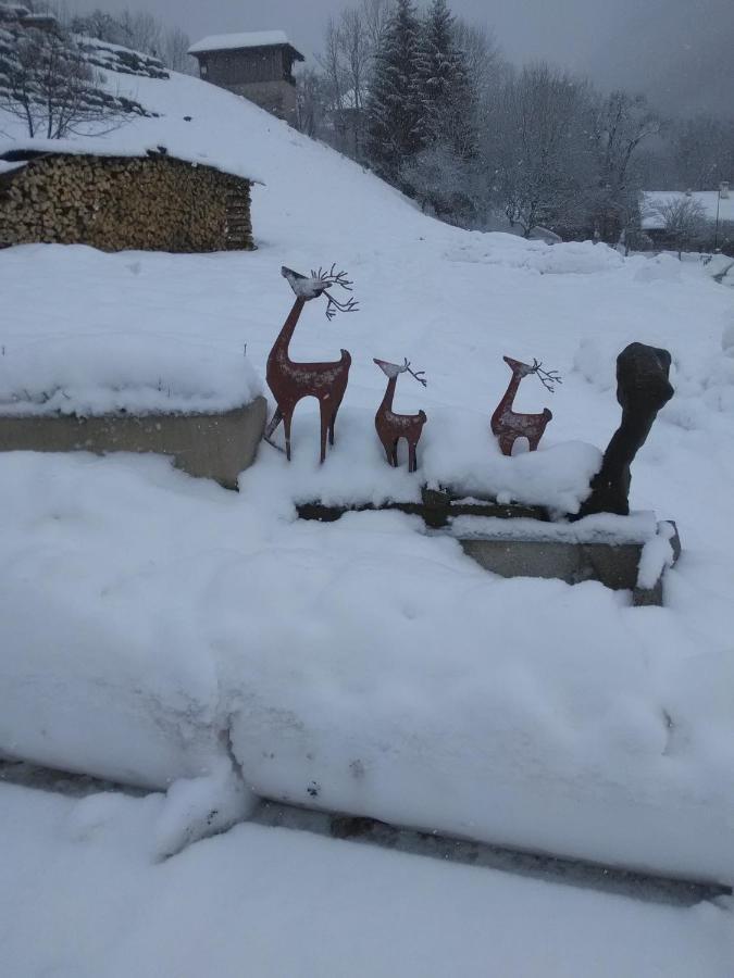 Chalet Genepi Apartment Montriond Bagian luar foto