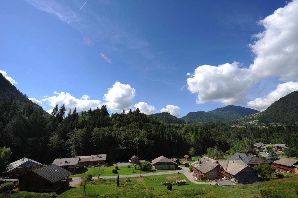 Chalet Genepi Apartment Montriond Bagian luar foto