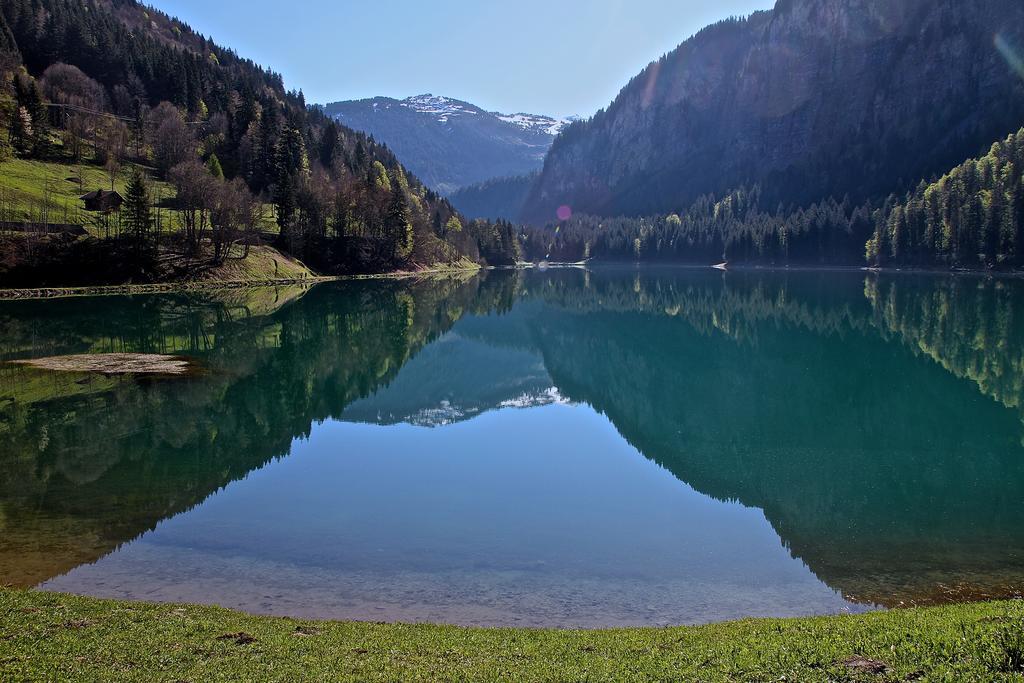 Chalet Genepi Apartment Montriond Bagian luar foto