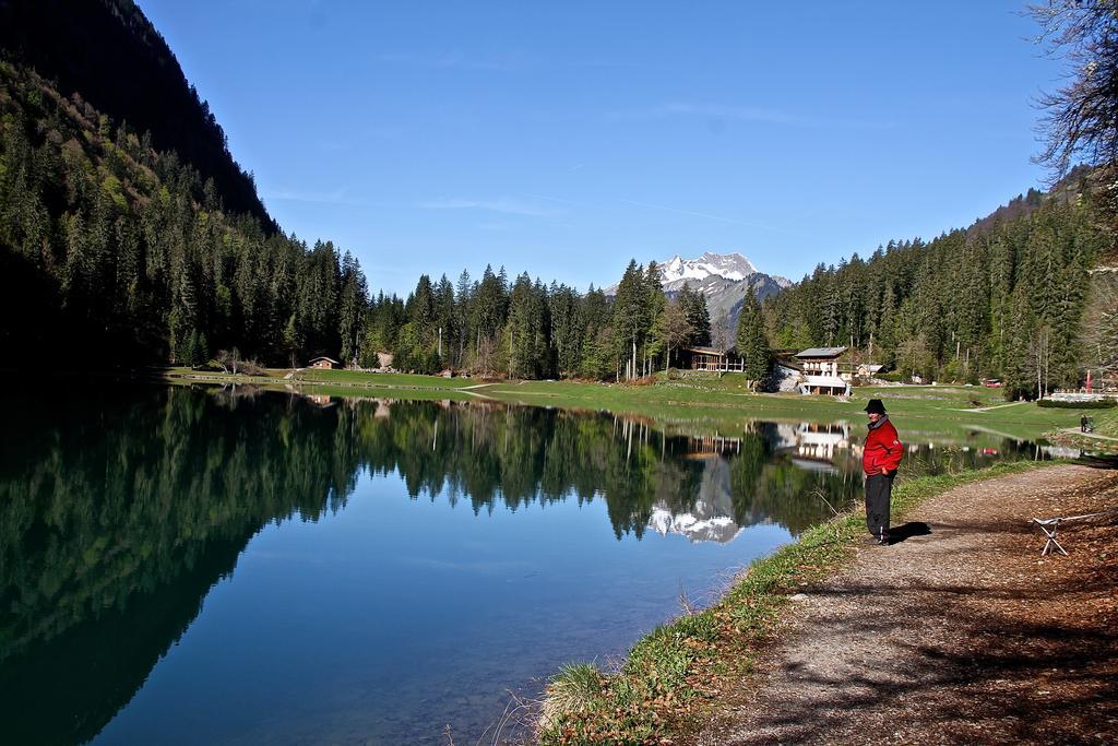 Chalet Genepi Apartment Montriond Bagian luar foto