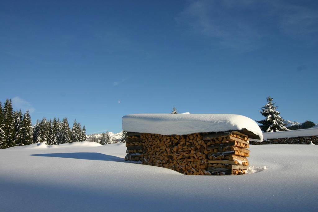 Chalet Genepi Apartment Montriond Bagian luar foto