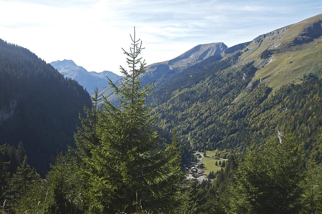 Chalet Genepi Apartment Montriond Bagian luar foto